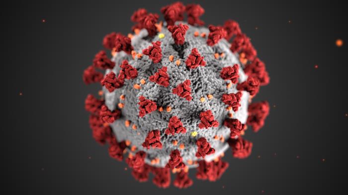 This illustration, created at the Centers for Disease Control and Prevention (CDC), reveals ultrastructural morphology exhibited by coronaviruses. Credit: CDC/ Alissa Eckert, MS; Dan Higgins, MAMS